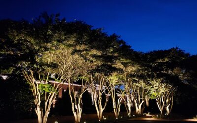 Enhance Your Outdoor Spaces with Low Voltage Lighting