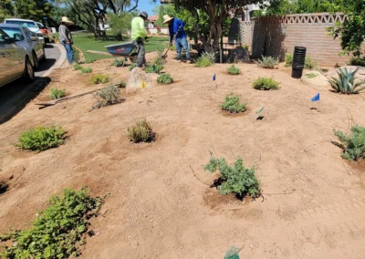 “Desert landscape irrigation with workers preparing for 1/4-inch gravel.”