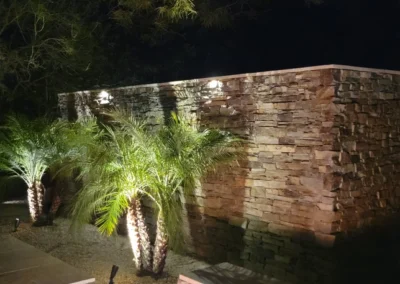 “Scottsdale backyard with LED landscape lighting illuminating two palm trees and surrounding desert plants, installed by Eclipse Landscape & Design.”