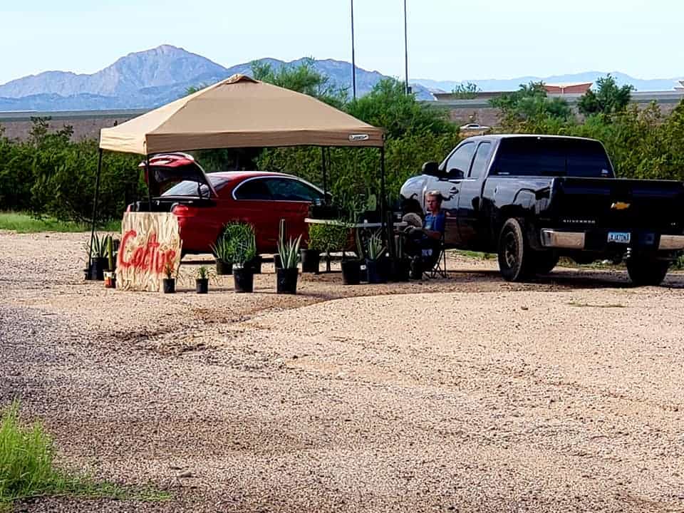 Tag Broaderip selling cactus on the side of the road