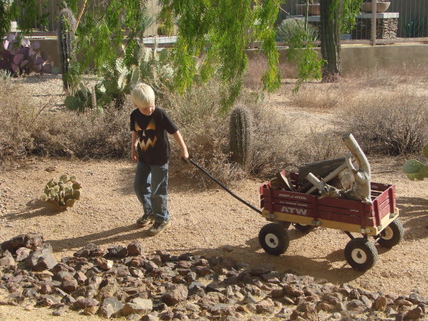 Young Tag Broaderip with cactus plants