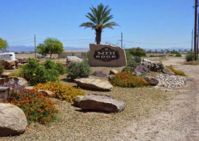 Desert-themed landscape with rocks and colorful flowers at Eclipse Landscapes.